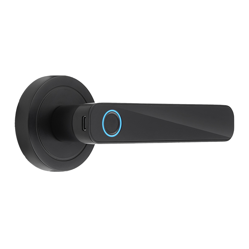 Apariencia de Cerradura de Manija WF-F3 Negra con Huella y Contraseña