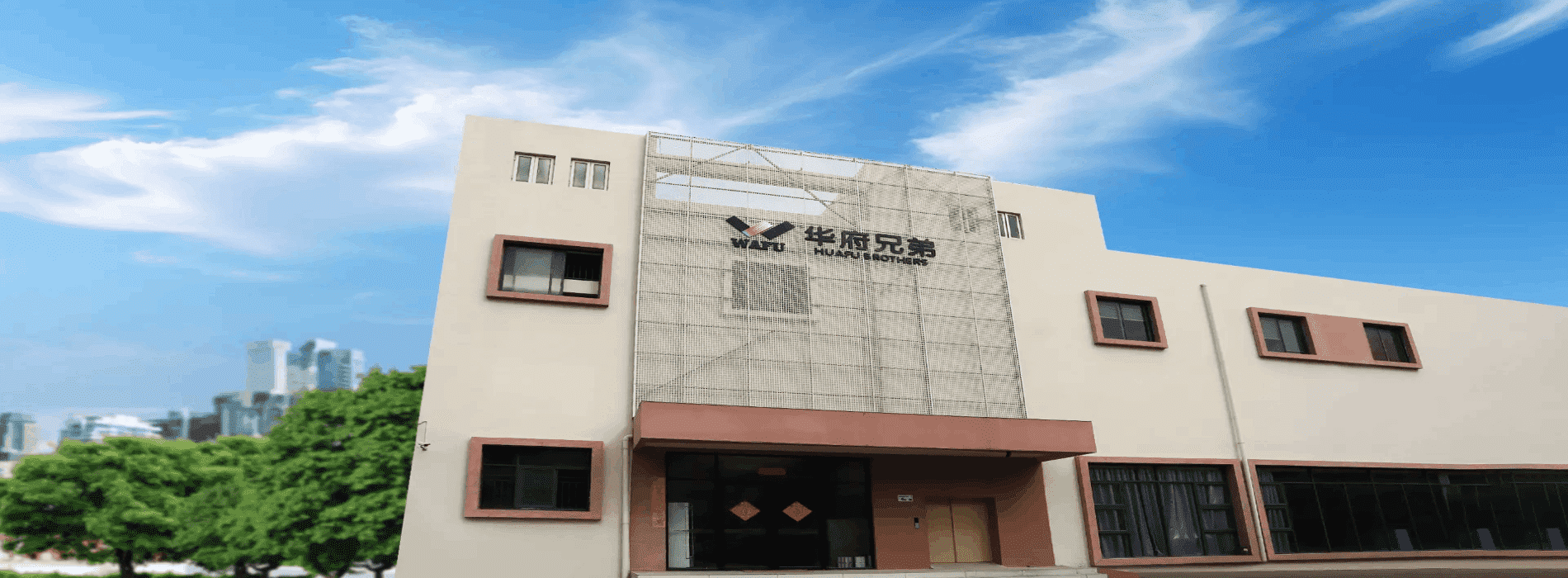 Marca Profesional WAFU Smart Lock