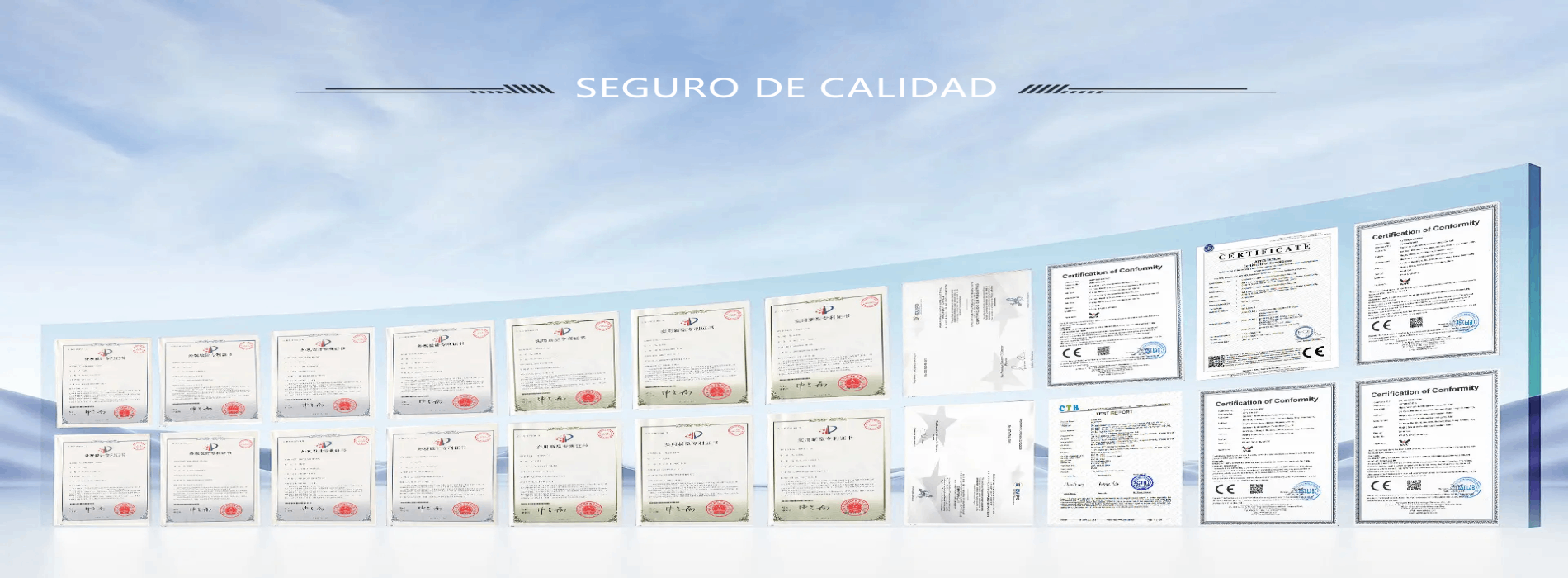 Resumen del certificado inteligente de WAFU