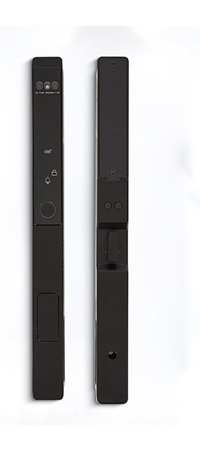 Cerradura de aluminio totalmente automática WF-021 con rostro 3D y vena palmar